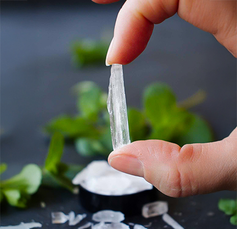 Higher yield of menthol crystals