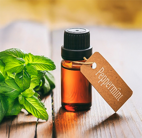 Menthol crystals used in various products